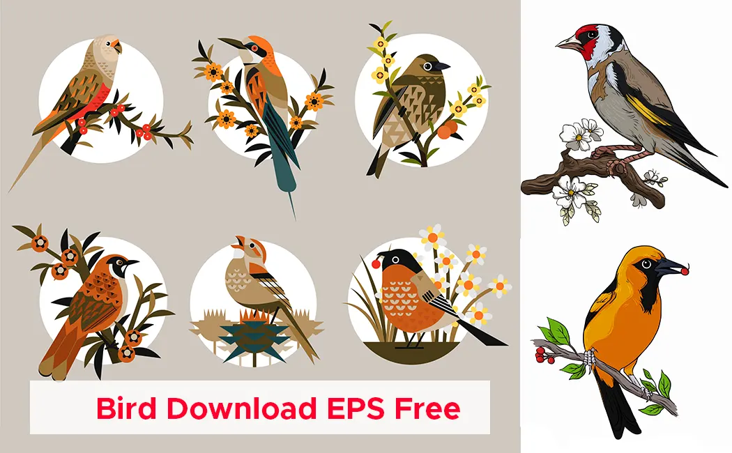 Multi Bird With Background Free Download